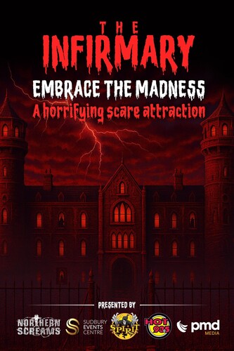 The Infirmary: XIX poster