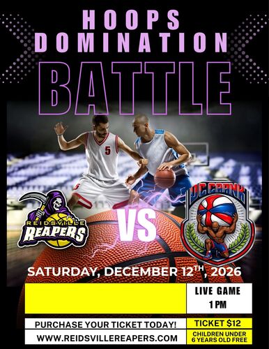 HOOPS DOMINATION BATTLE! poster